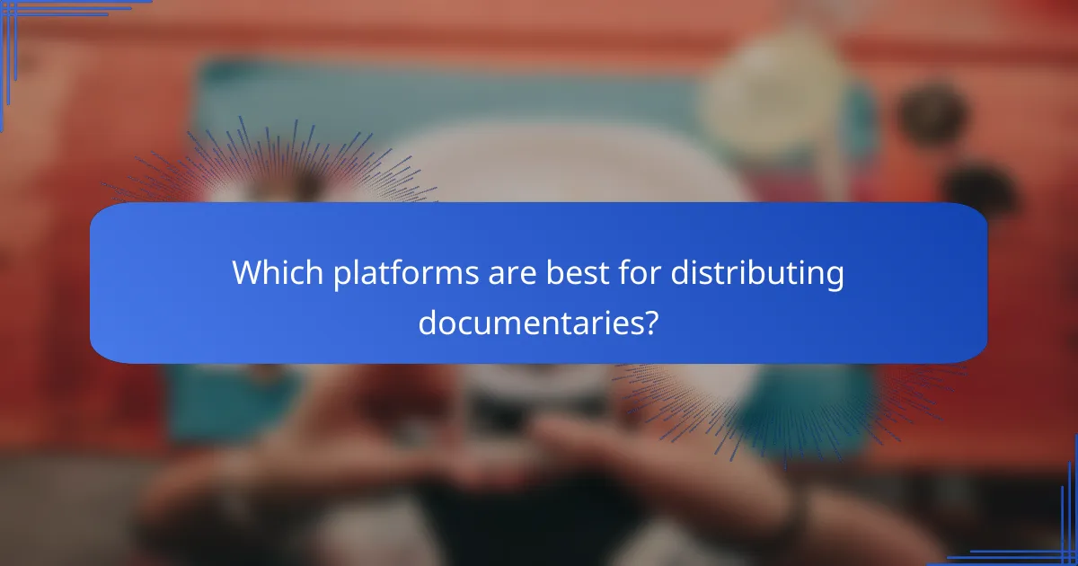 Which platforms are best for distributing documentaries?